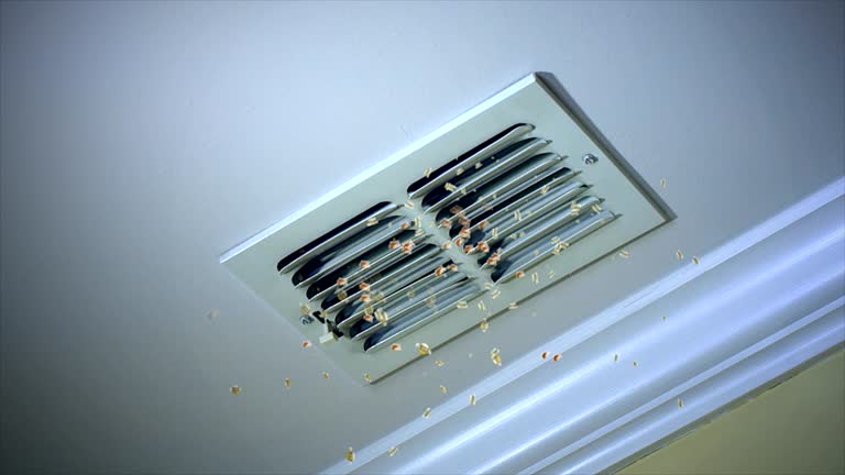 Best Duct Cleaning for Offices  in Bluff City, TN