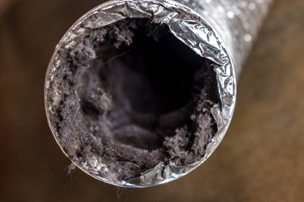 Best Commercial Air Duct Cleaning  in Bluff City, TN