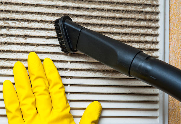 Best Professional Duct Cleaning Services  in Bluff City, TN